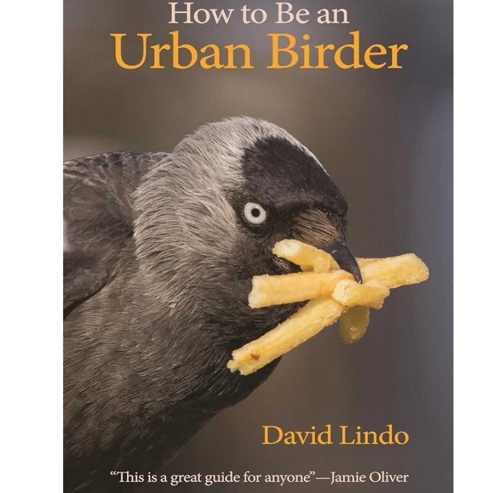 ✨ 4/$15 How to Be an Urban Birder by David Lindo